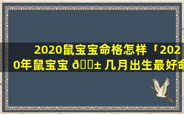 2020鼠宝宝命格怎样「2020年鼠宝宝 🐱 几月出生最好命」